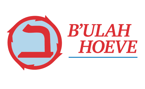 Logo van Stichting B'ulah.