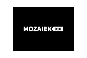 Logo van Mozaiek 010.